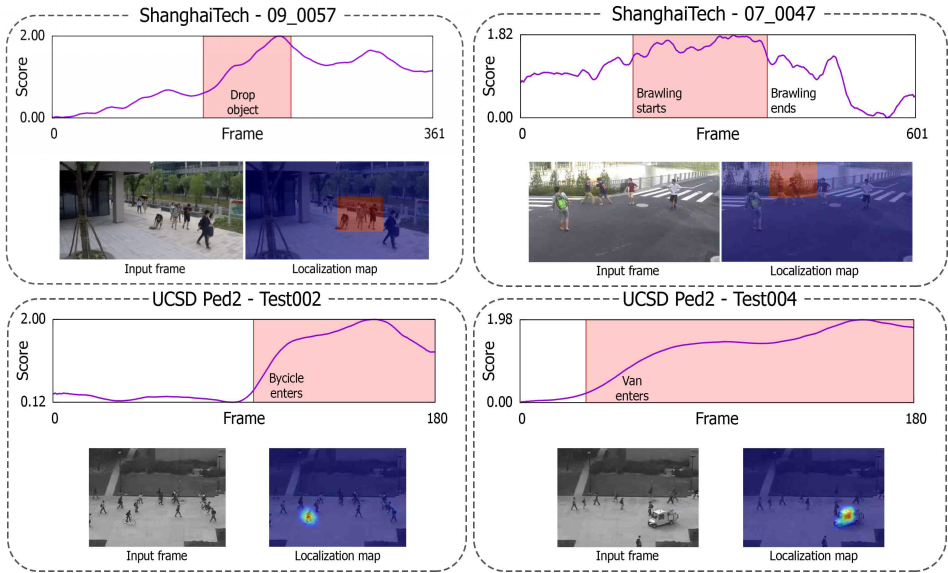 Video Anomaly Detection