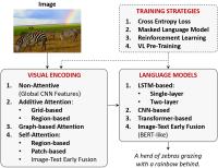 Captioning Taxonomy