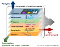 Integrating Genomics and Transcriptomics: Advancements through Multi-View Approaches